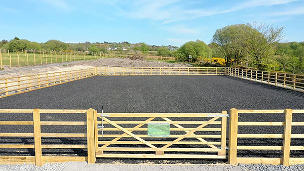 images/bethania/1.jpg#joomlaImage://local-images/bethania/1.jpg?width=600&height=338