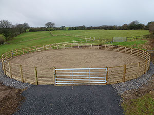 images/g.jpg#joomlaImage://local-images/g.jpg?width=300&height=225