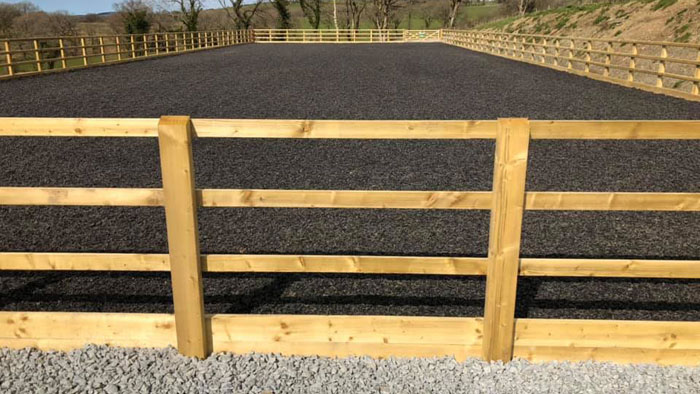 images/petite%20eventing/5.jpg#joomlaImage://local-images/petite eventing/5.jpg?width=700&height=394